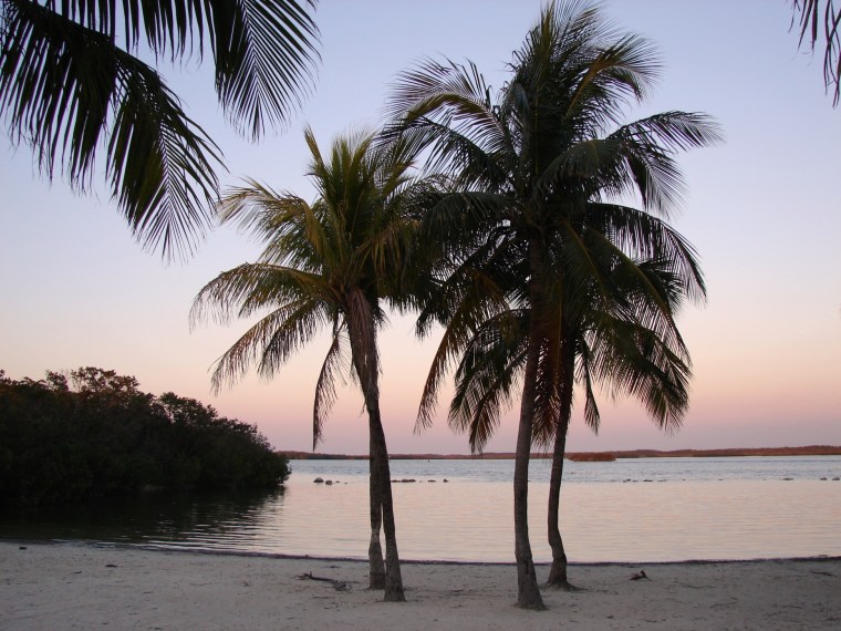 ???????????????????????????????