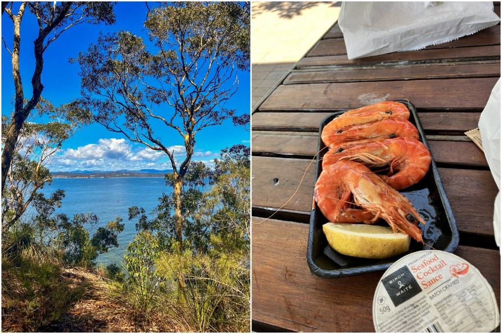 Trees and water and some prawns