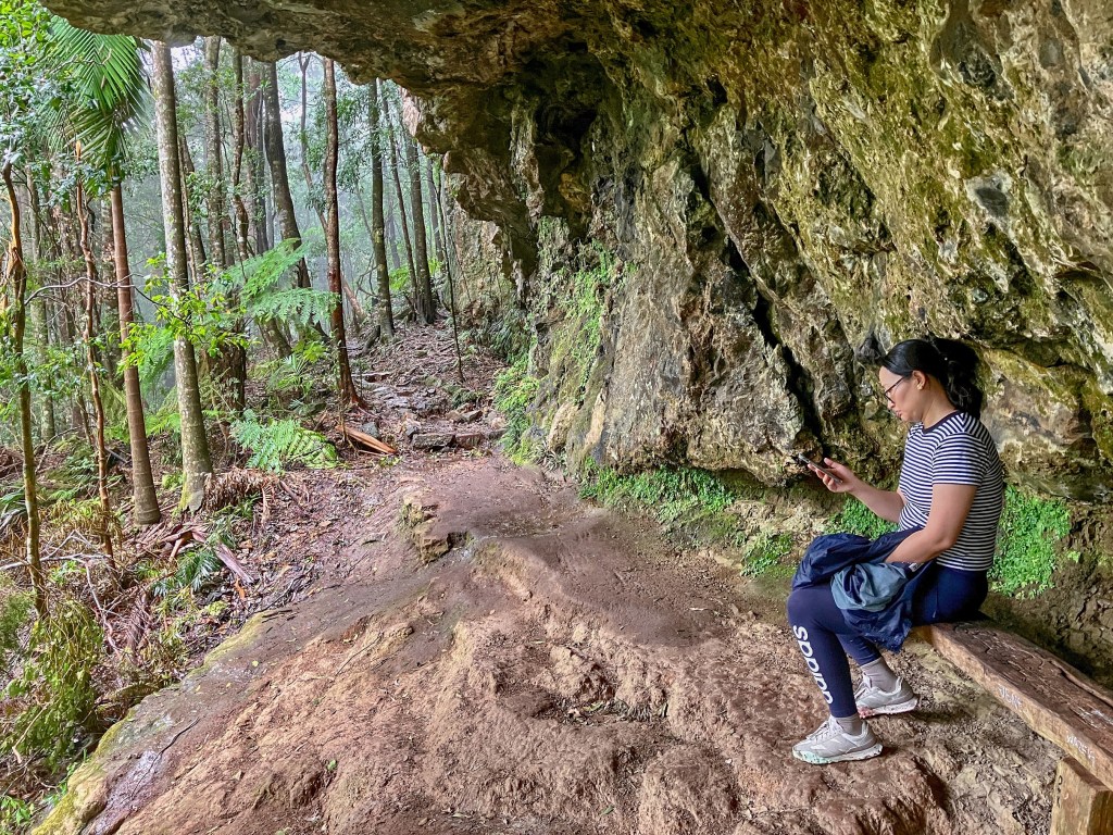 Not an influencer taking a rest in the rainforest