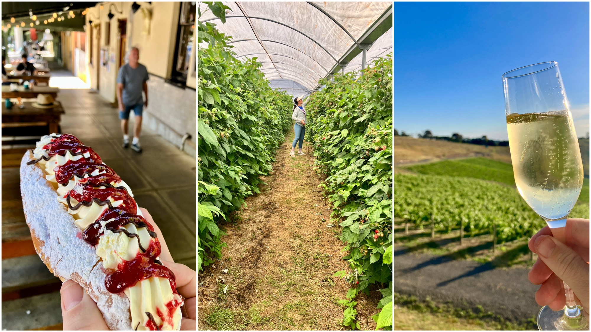 Cakes, fruit and wine in country Victoria