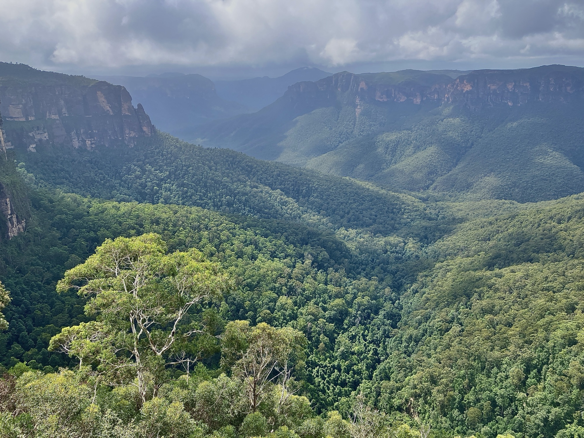 A wilderness of cliffs and gorges
