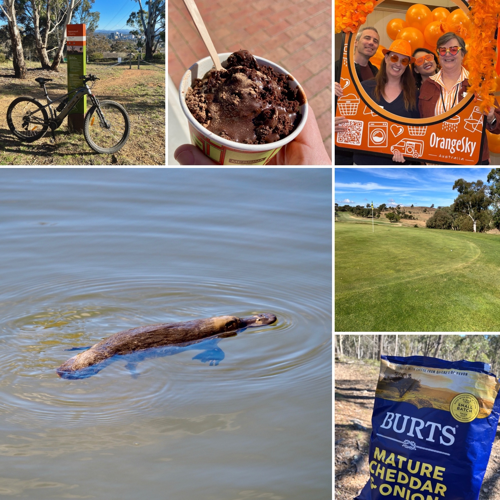 A compilation of images including ice cream, a platypus and some cheese and onion crisps